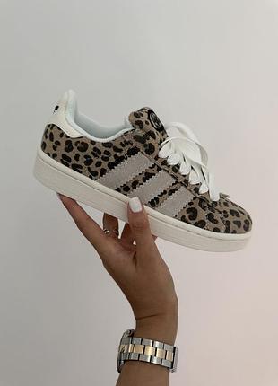 Adidas campus | “leopard” premium (3)