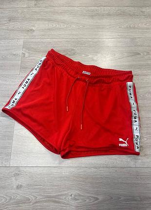 Чоловічі шорти на лампасах puma