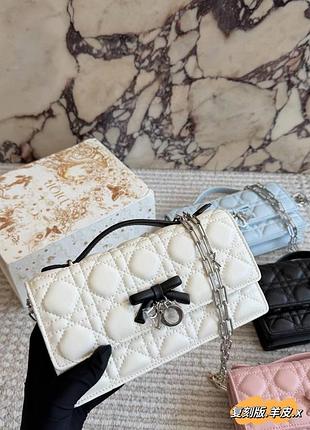 Сумка dior 21*12 см 12-14 робочих днів