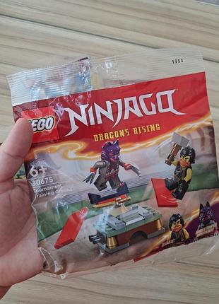 Конструктор lego ninjago. 5