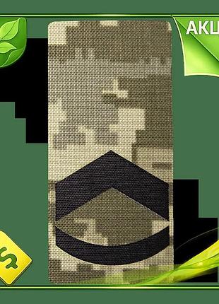 Ve погон camotec штаб сержант new version на липучке из кардуры для военной формы эмблема нашивка n6w_ver