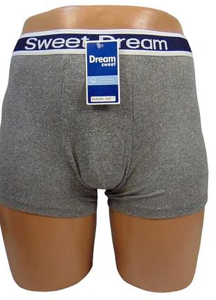 Чоловічі труси sweet dream 3984 3xl сірі