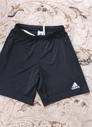 Adidas шорты m-l состояние новых
