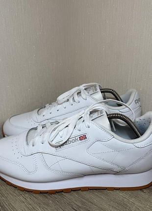 Кросівки reebok classic