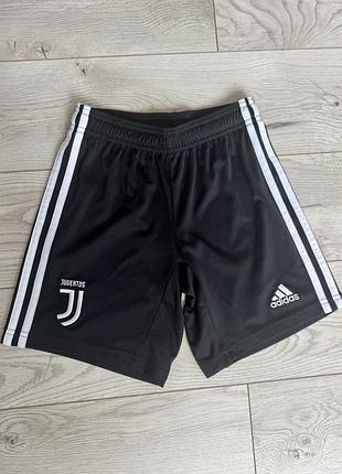 Шорти спортивні adidas