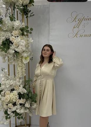 Сукня від бренду byfamilystolyarchuk