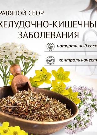 Трав'яний чай "шлунково-кишкові захворювання" 100г