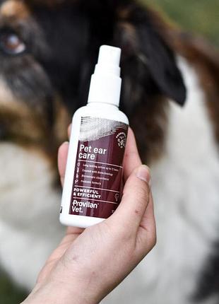 Спрей для ухода за ушами provilan vet ear care - 100 мл