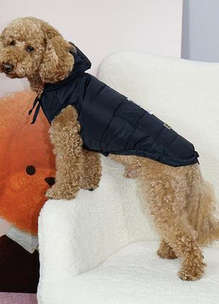 Жилет карман черный g-111