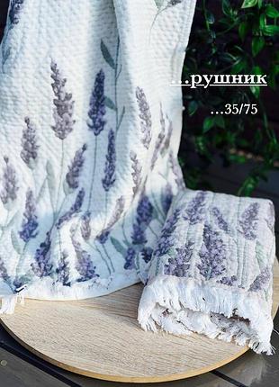 Улюблені всіма рушнички для кухні, мустанг, набір