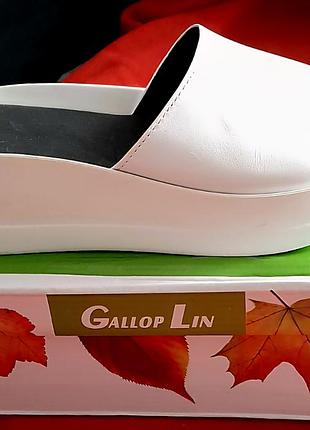 Продам женские шлепанцы gallop lin