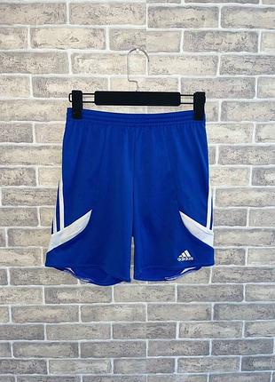 Спортивні чоловічі шорти adidas