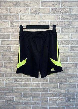 Спортивные мужские шорты adidas