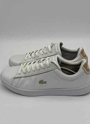 Кеди lacoste carnaby evo з білою шкірою та золотистим логотипом-крокодилом. розмір 41 устілка 26 см