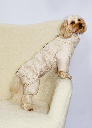 Зимний комбинезон comfort беж r-66