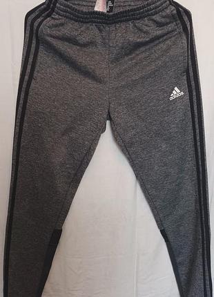 Мужские спортивные штаны adidas.