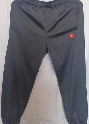 Мужские спортивные штаны adidas