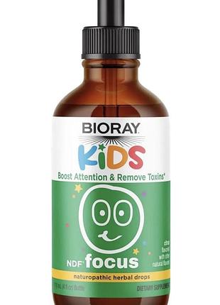 Bioray kids focus 118 ml