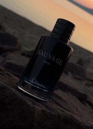 Dior sauvage