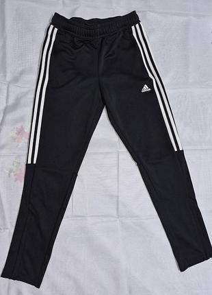 Спортивні штани adidas aeroready