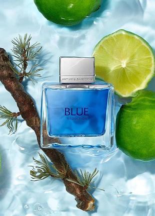 Antonio banderas blue seduction for men