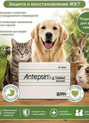 Антепси бад для жкт животных турция