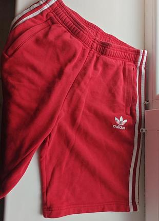 Adidas originals шорты мужские брюки женские