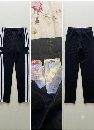 Спортивні штани adidas (primegreen)
