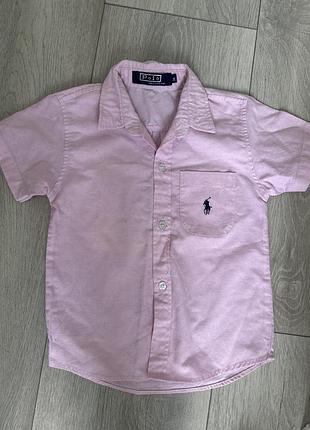 Сорочка polo