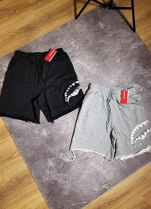 Шорти sprayground/шорти спрейграунд/шорти чоловічі