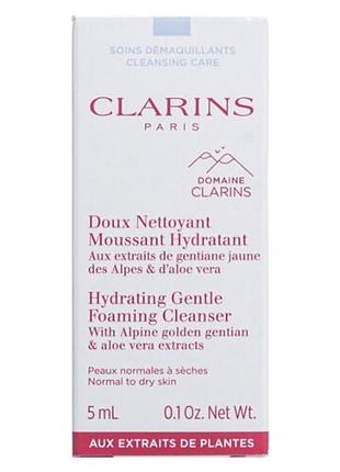 Пінка clarins