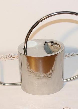 Комнатная лейка, inox