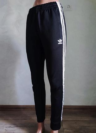 Спортивні штани