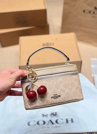Сумка coach 18*12см  12-14 робочих днів