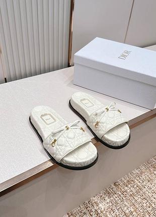 Шльопанці dior 12-14 робочих днів