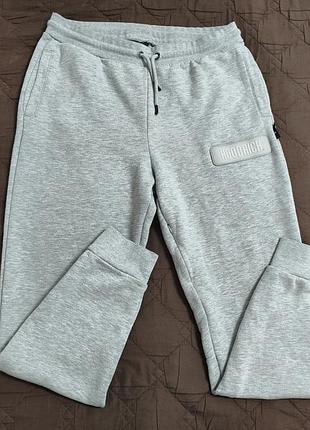 Утепленные мужские спортивные штаны джоггеры hoodrich og l