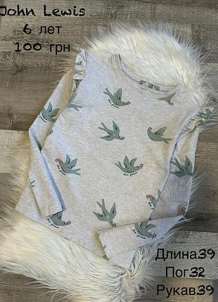 Реглан 6 років