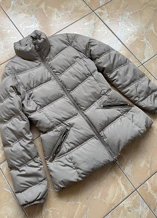 Пуховик massimo dutti