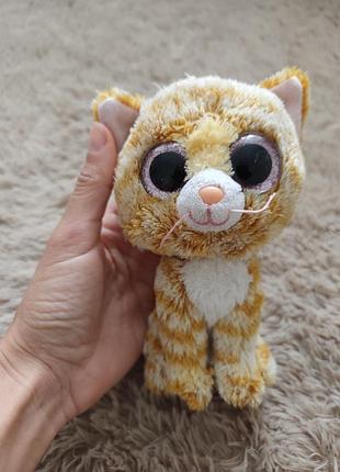 Котик глазастик рудий ty beanie boo's tabitha