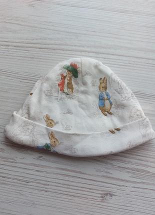 Брендовая шапочка peter rabbit для новорожденных