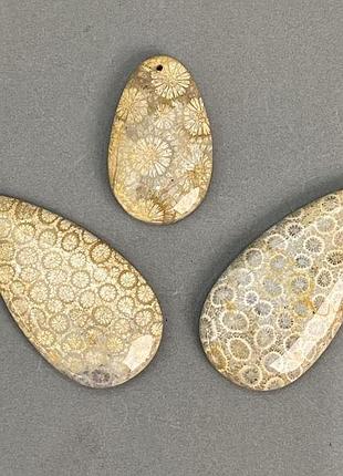 Кулон окаменелый коралл 40-60х25-30 мм +- ассорти размер новинка