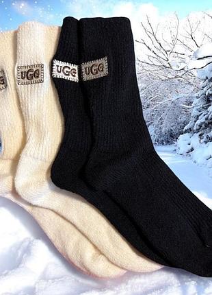 Брендові високі шкарпетки ugg з вовною