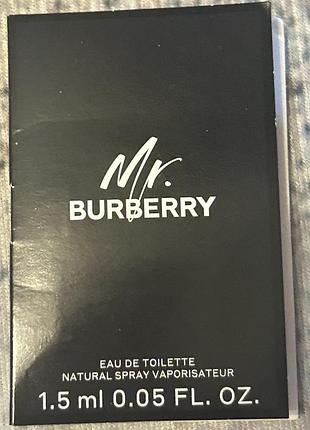 Burberry mr burberry
