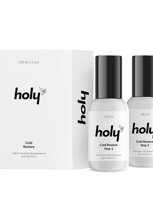 Набір холодне відновлення для волосся - holy cold restore, 100+100ml