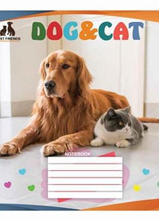 Зошит в клітинку 18арк. 20шт/уп 3799к собаки і коти тм мрії збуваються