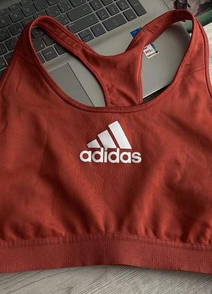 Женский кораллловый спортивный топ adidas в размере xl 48-50