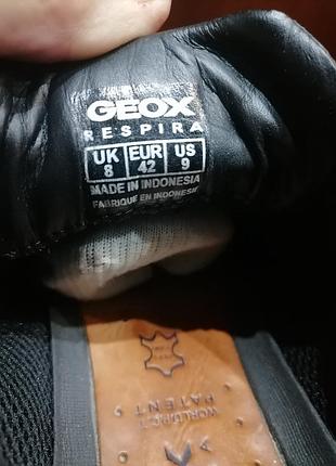 Кроссовки  geox 10
