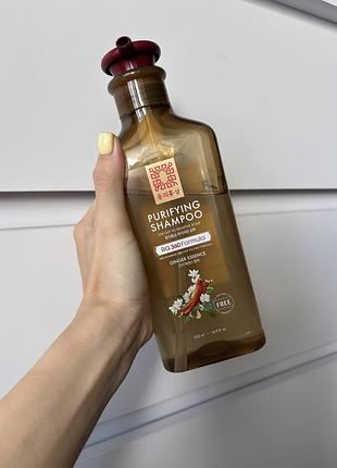 Dong ui hongsam корейський шампунь для жирної шкіри голови