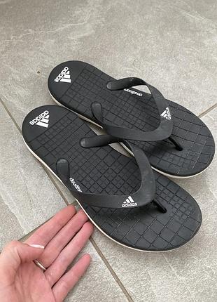 В'єтнамки бренду adidas серії eezay cloudfoam.