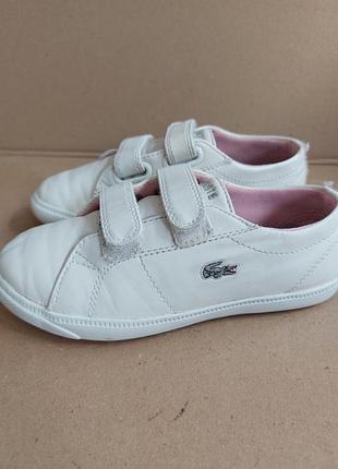 Кроссовки lacoste. оригинал. размер 26,5 стелька 17,3